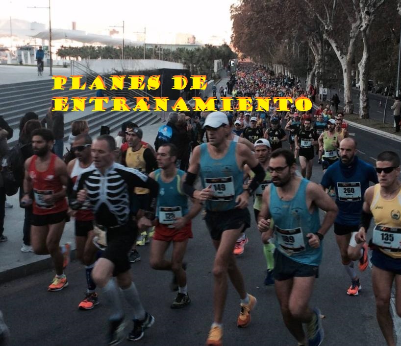 PLANES DE ENTRENAMIENTO PERSONALIZADOS
